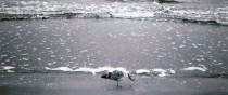 cropped-ostsee-winter2013-1.jpg
